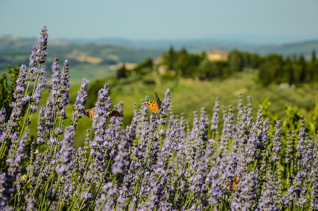 Adalberto - Nella Dimora Di Fulignano San Gimignano Luaran gambar