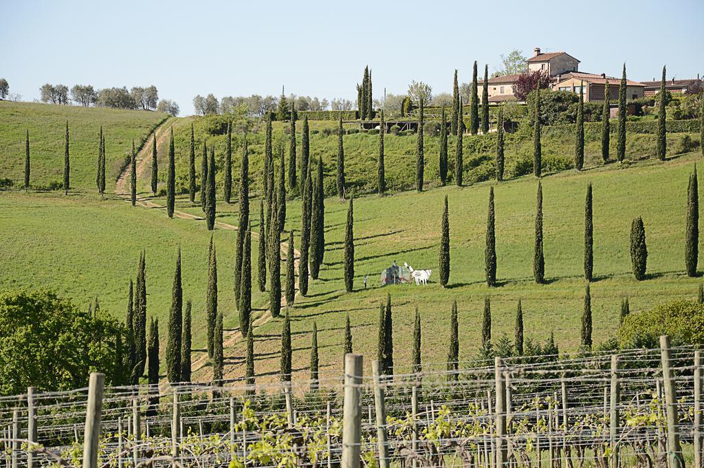 Adalberto - Nella Dimora Di Fulignano San Gimignano Luaran gambar